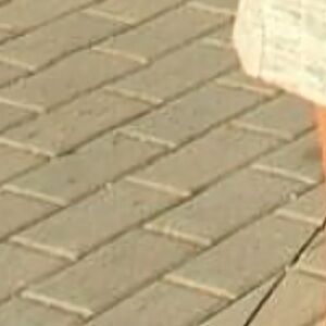 Meet your Posher, Maya